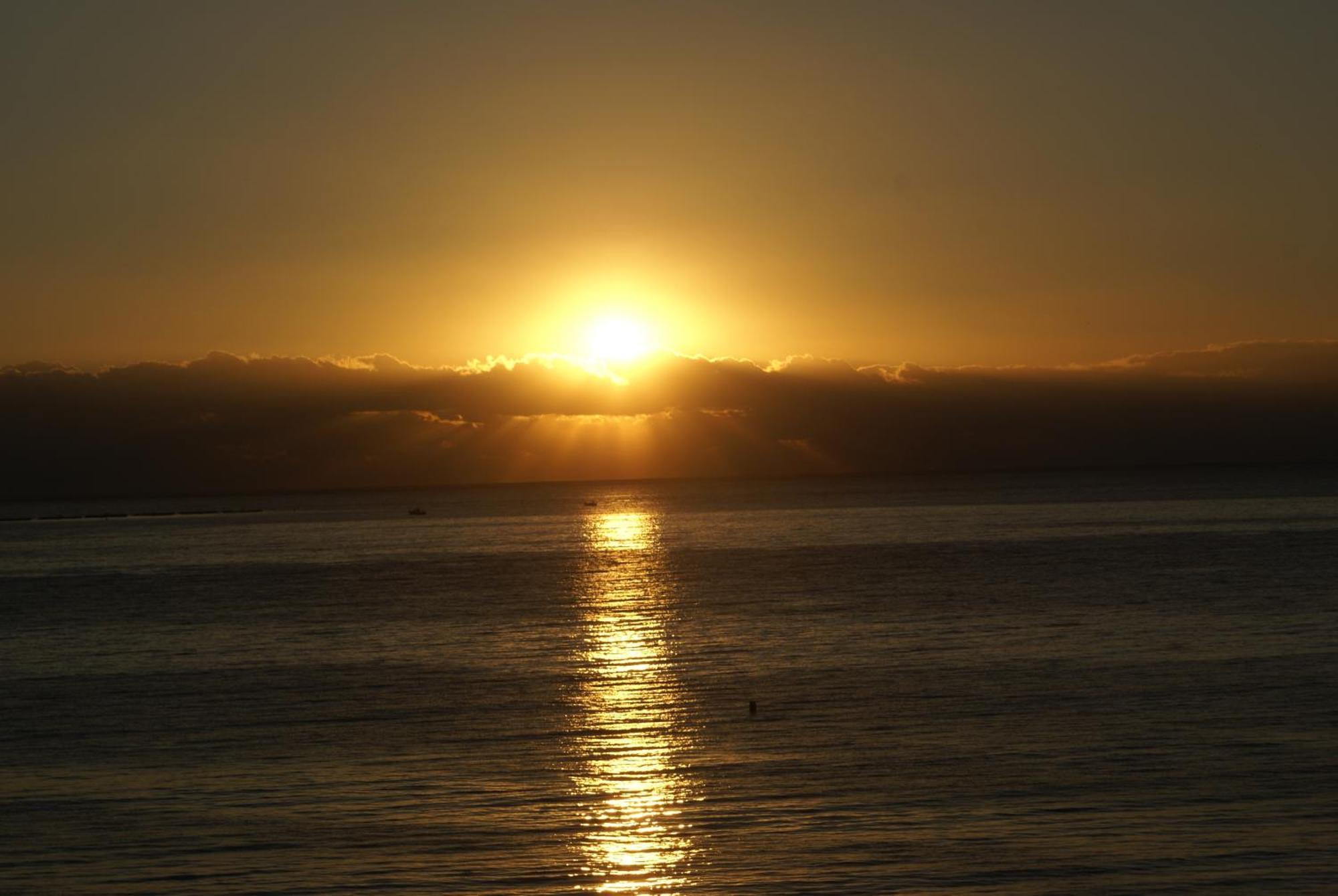 Sunny Sea View Apartament